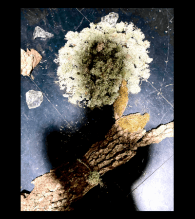 Les Mélodies de Koumamour