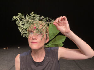 Les Mélodies de la toute toute toute petite Koumamour © Betula Lenta